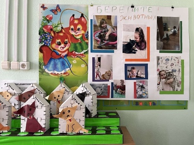 Берегите животных